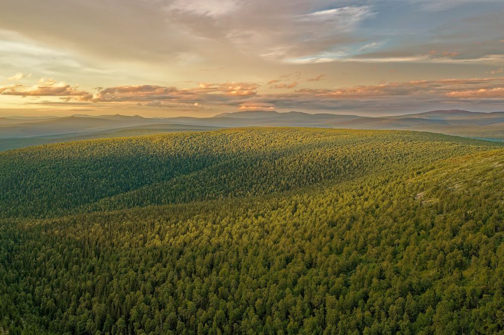 Photograph by Павел Ившин