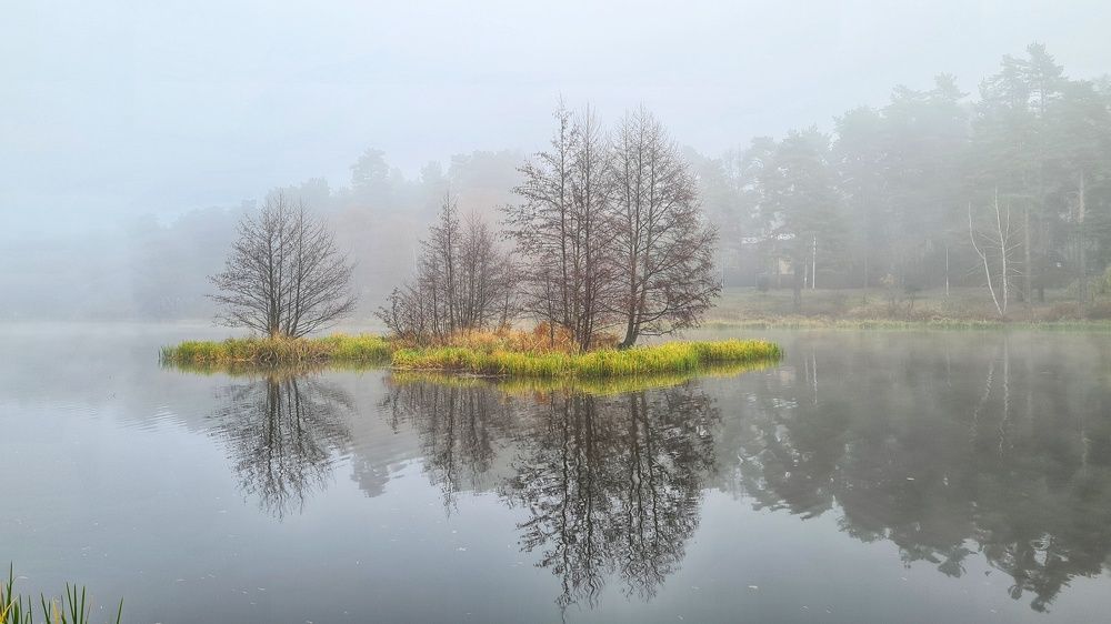 Photograph by Оксана Новикова