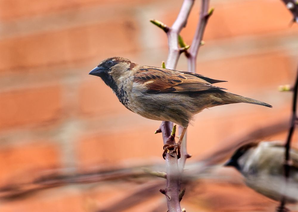 Photograph by Владимир Кваша