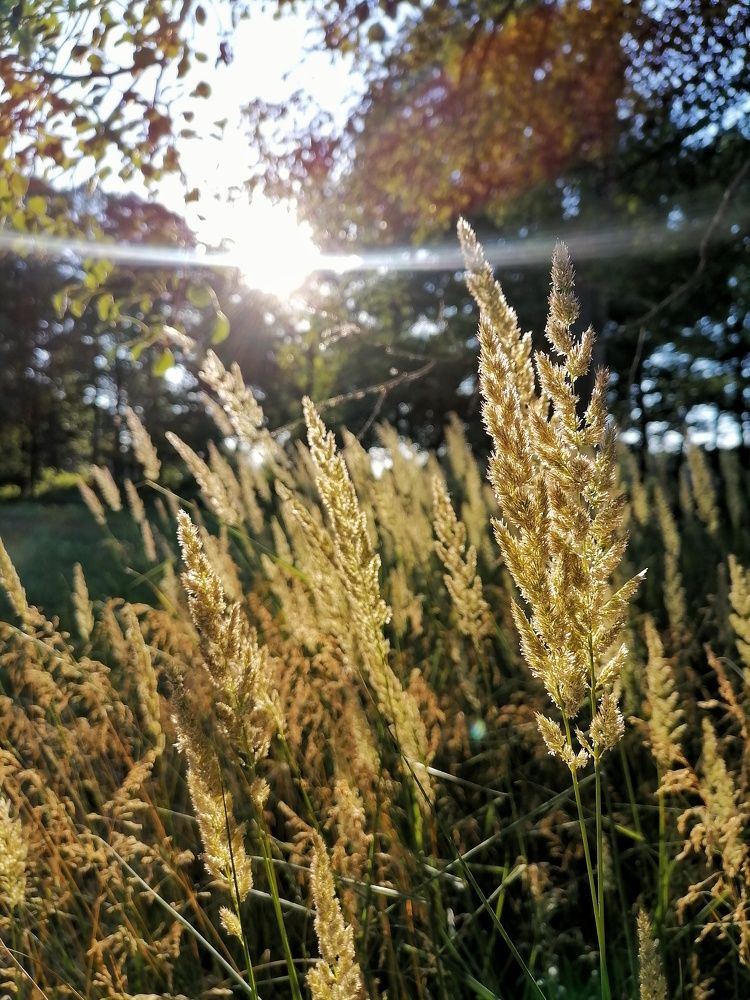 Photograph by Юлия
