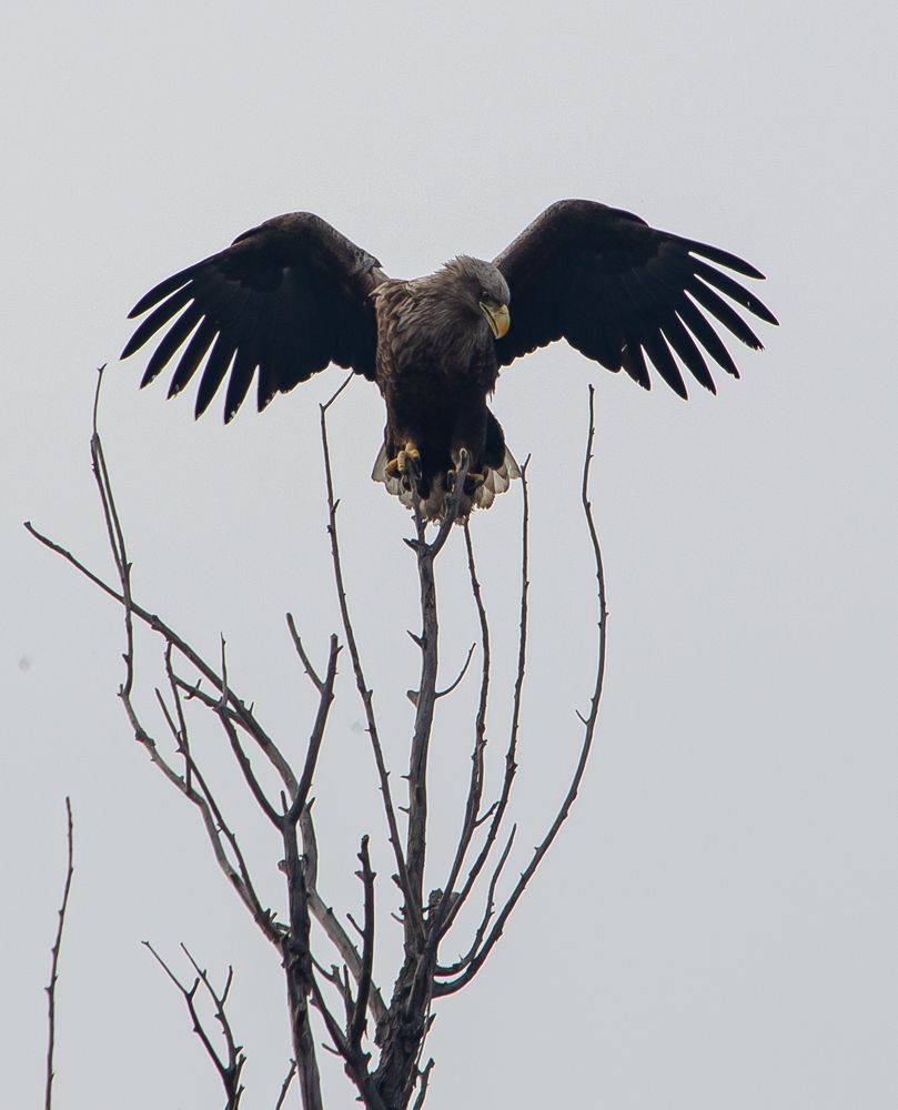 Photograph by Юрий Кизин