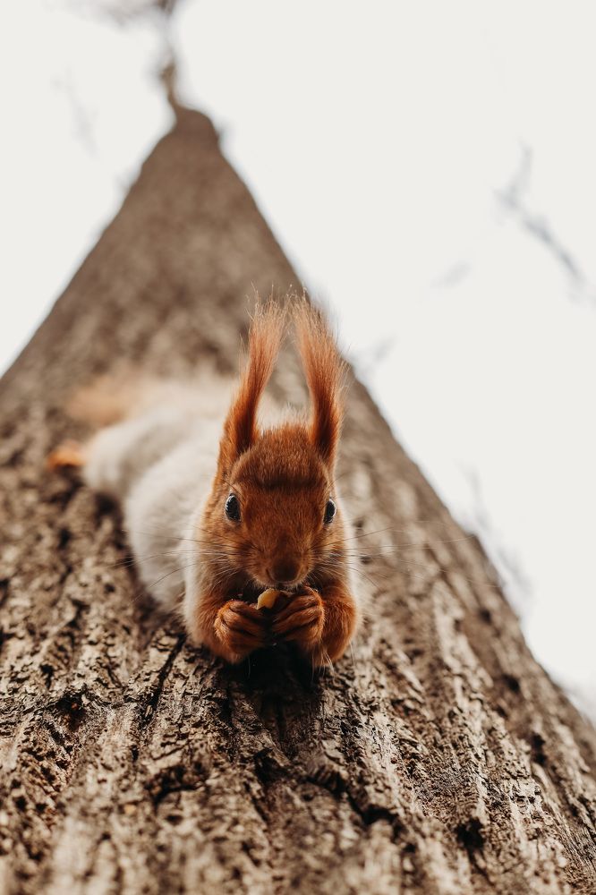 Photograph by Инесса Юровских