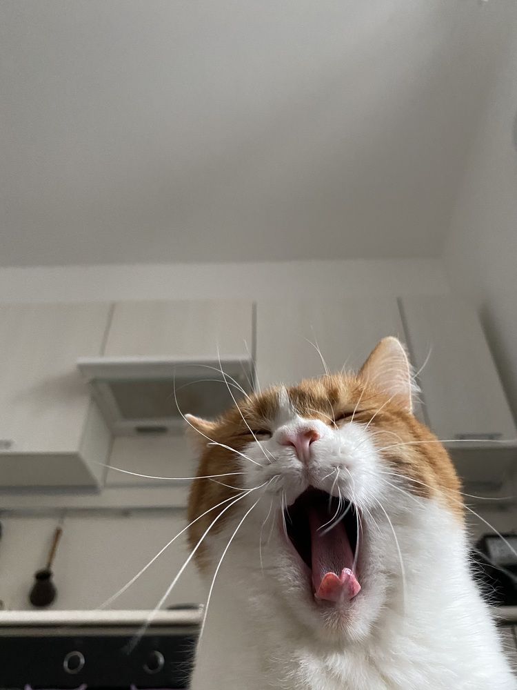 Photograph by Юрий Иванов