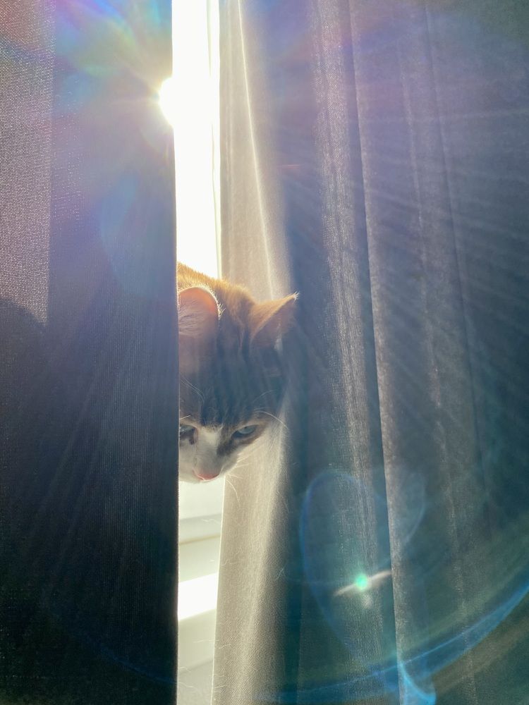 Photograph by Юрий Иванов