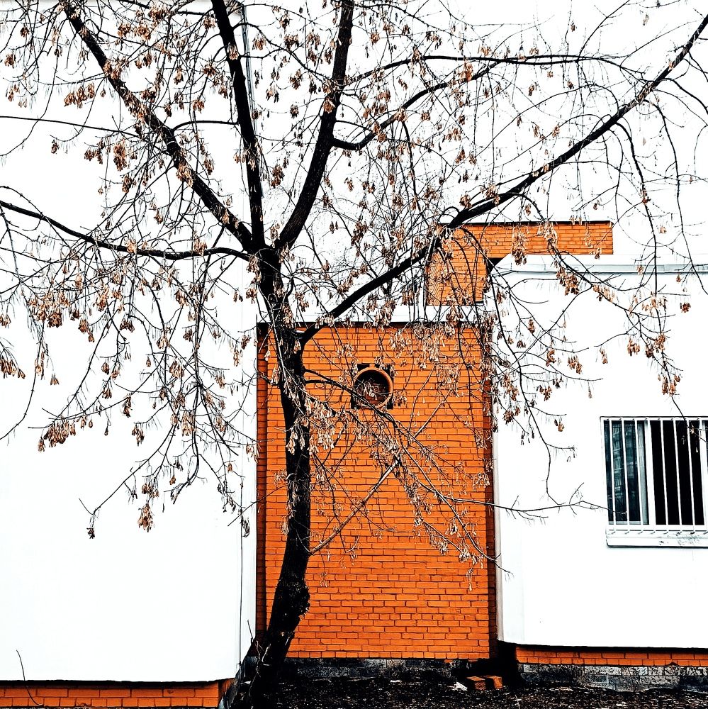 Photograph by Марина Хохрякова