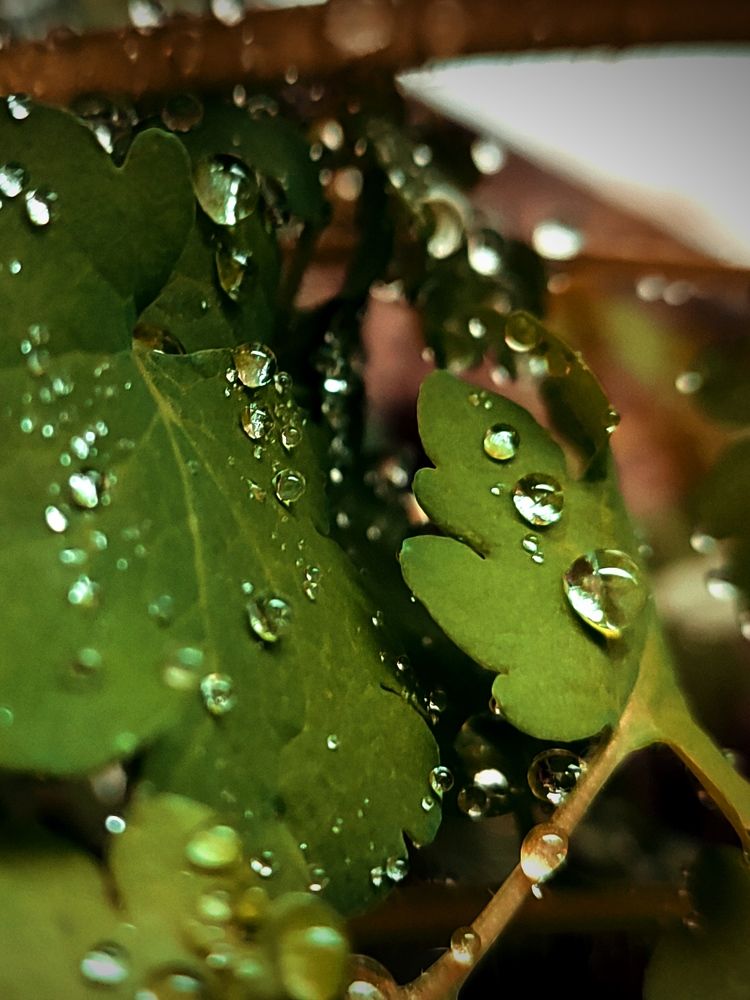 Photograph by Татьяна Долгушева