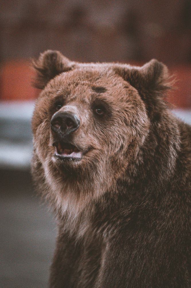 Photograph by Наталия Царёва