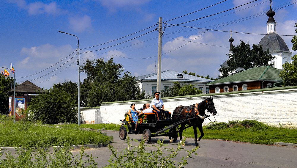Казак управляет повозкой.