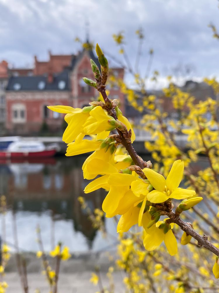 Photograph by Yuliana Shabovta