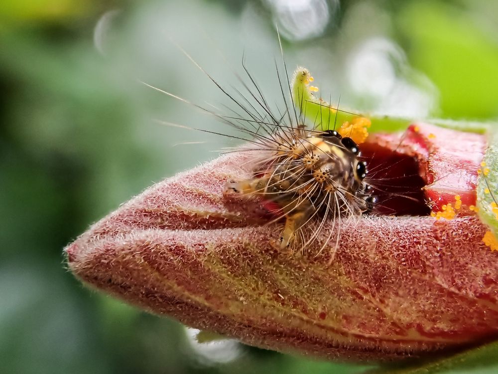 Photograph by Sanket Gudashi