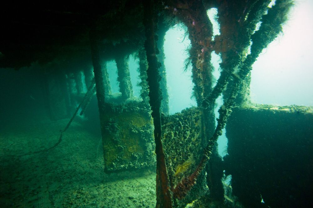 Photograph by Эрнст Антонов