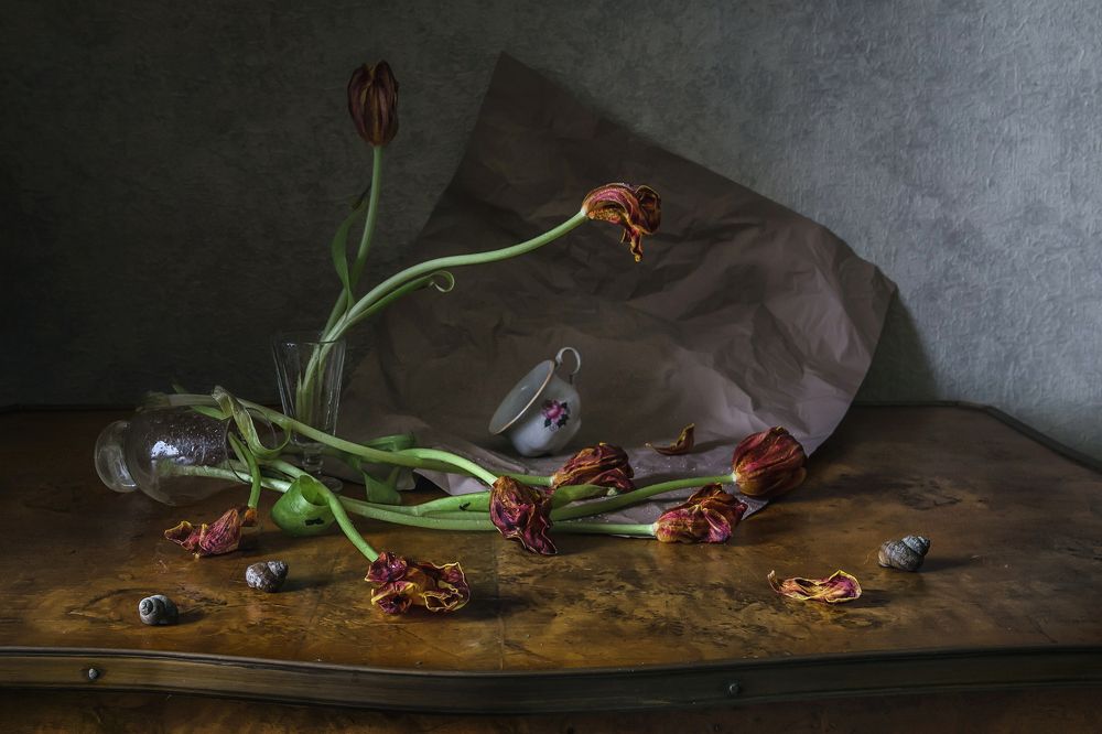 Фотография автора Анна Петина