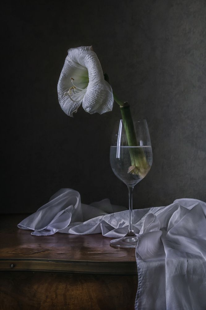 Фотография автора Анна Петина