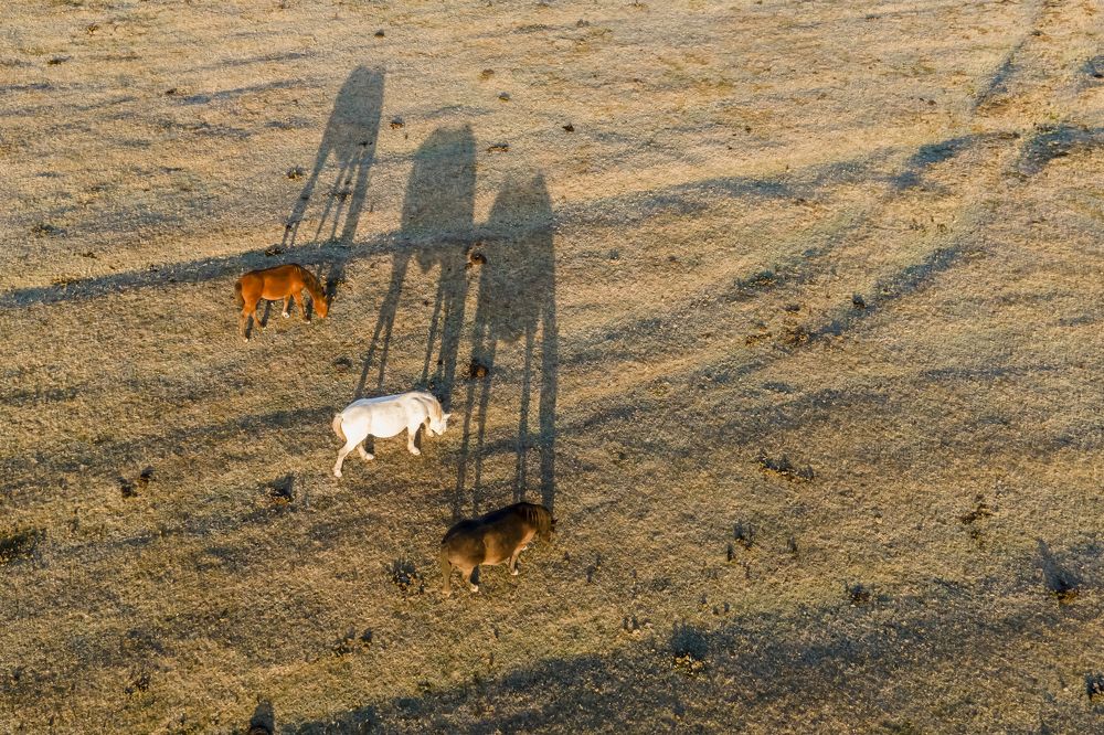 Photograph by Ramazan Cirakoglu