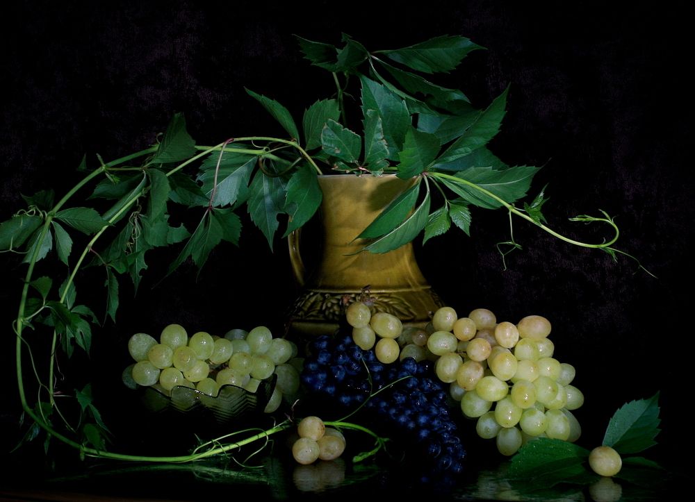 Фотография автора Nelya  Lysenko