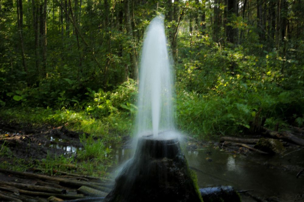 Photograph by Дмитрий Малышев