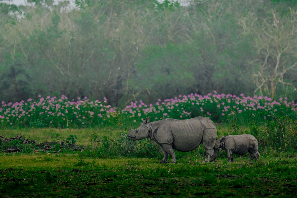 Photograph by Nabarun Majumdar