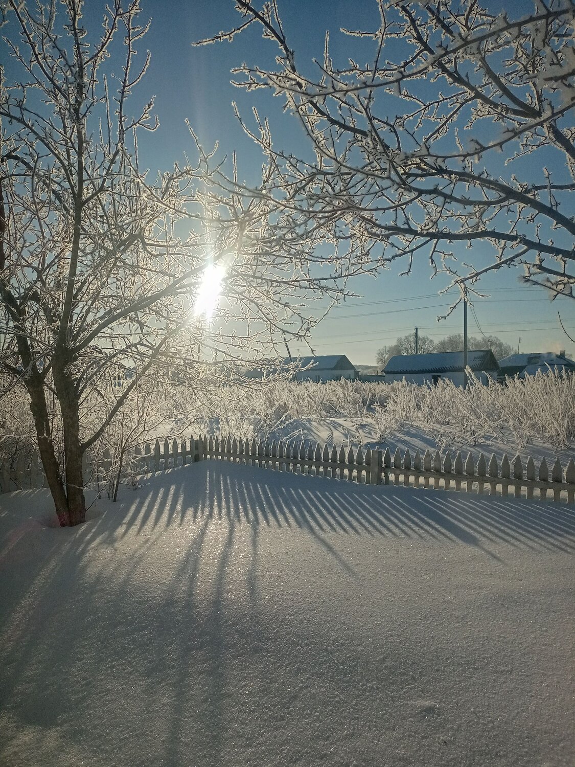 Photo #9038765