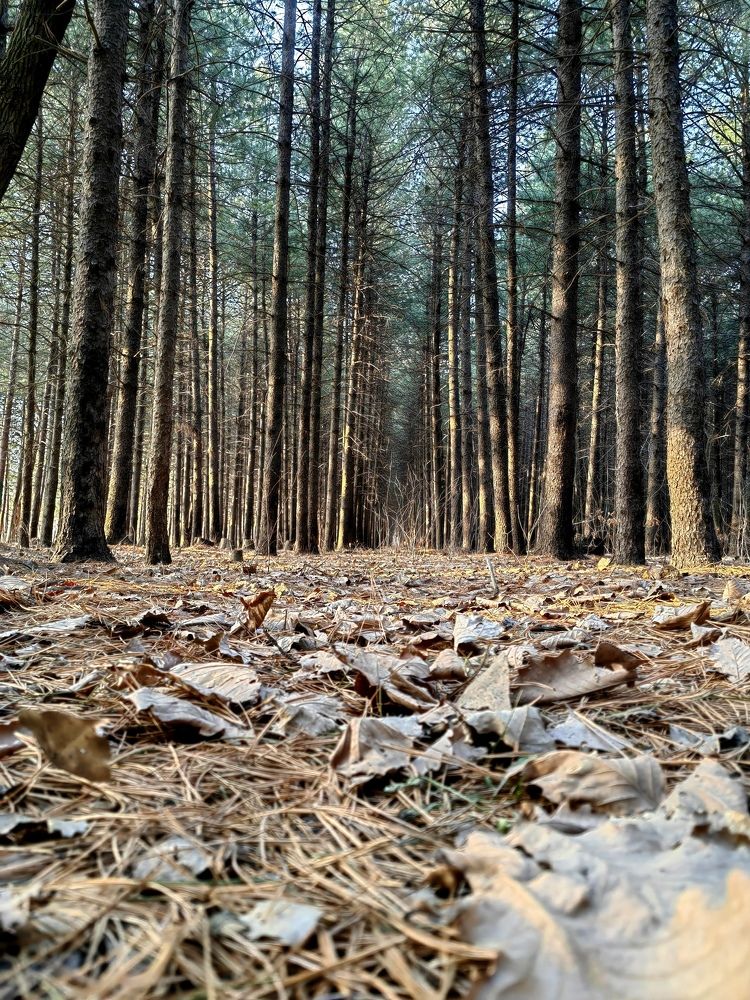 Photograph by Кристина Гареева