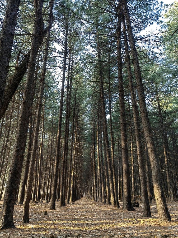 Photograph by Кристина Гареева