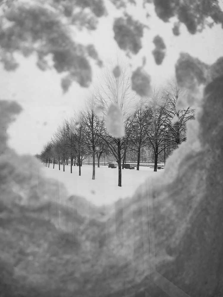 Photograph by Елена Юдина