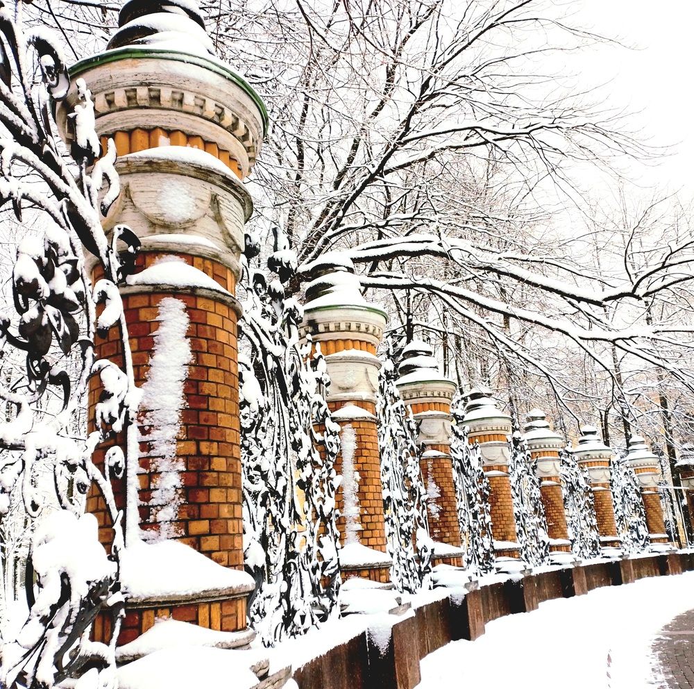 Кованая ограда Михайловского сада