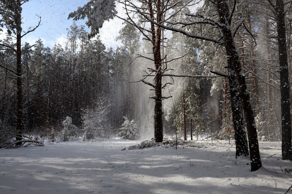 Фотография автора Колосова Елена