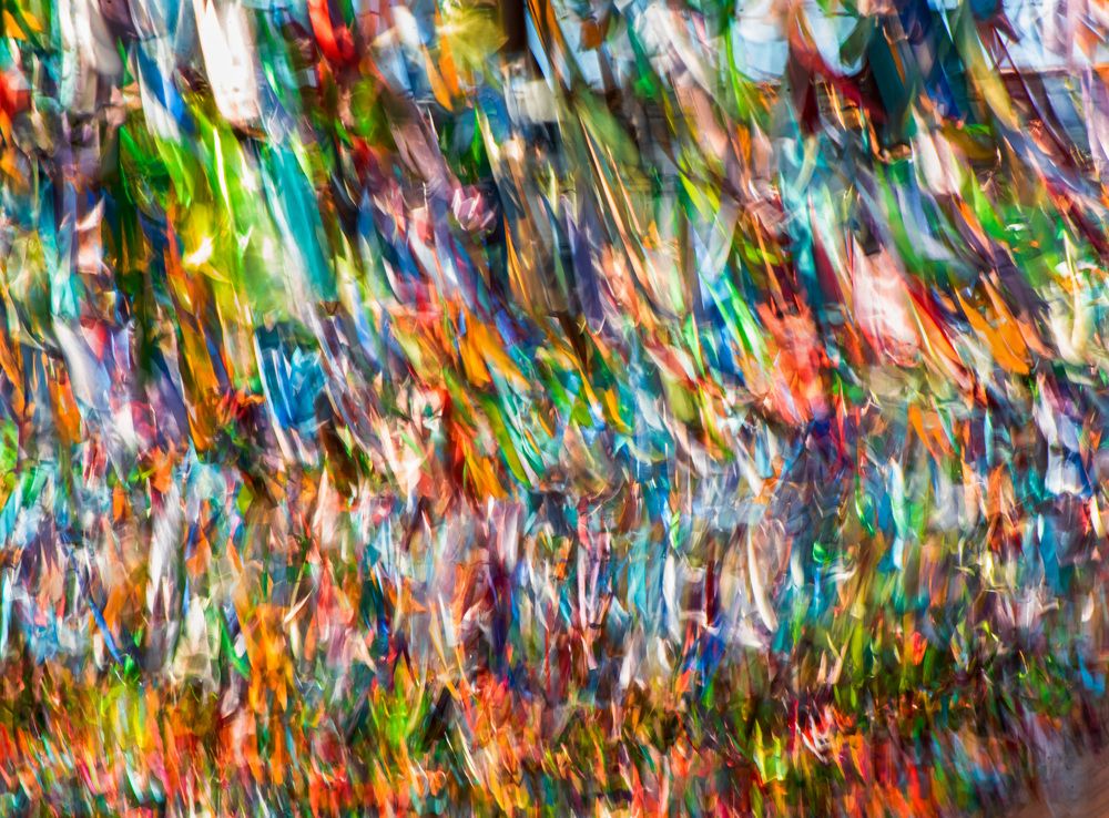 Фотография автора Mohammad Mohseni