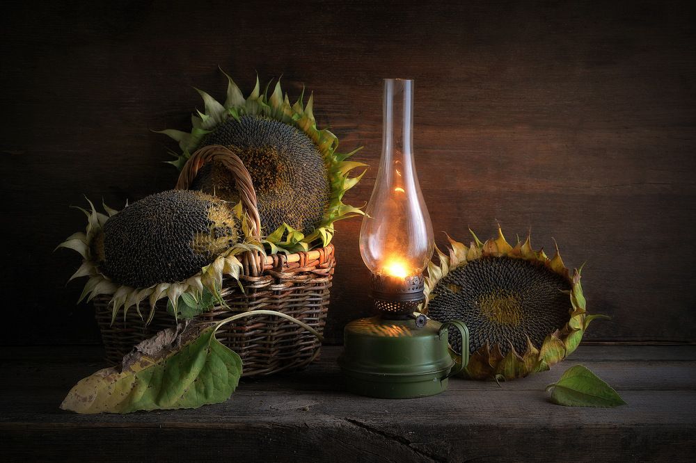 Photograph by Сергей Алексеев