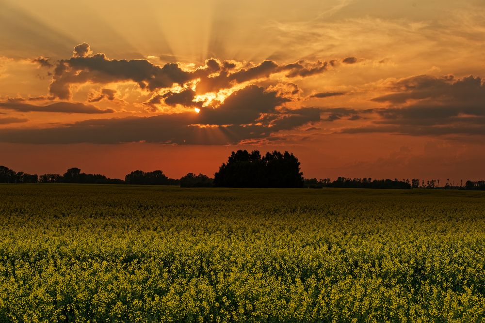 Photograph by Михаил Рогачев