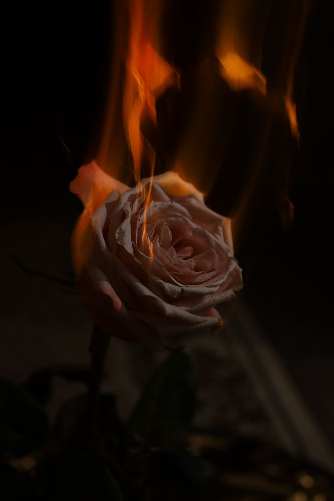 Photograph by Марина Слепова