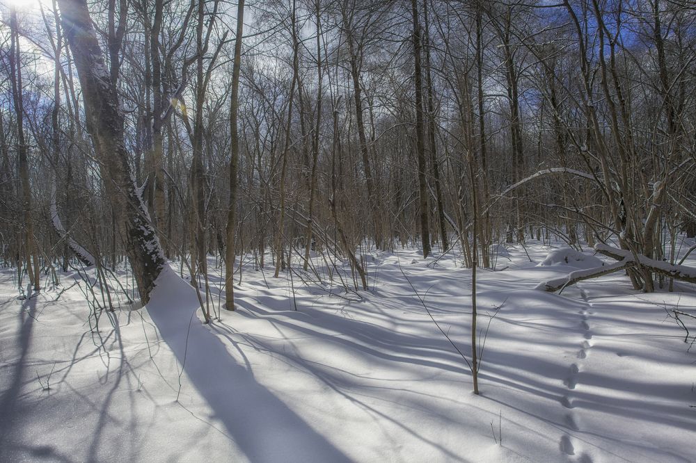 Photograph by Сергей Старостин