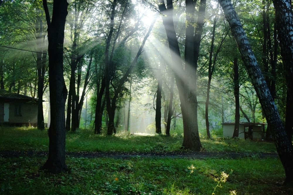 Photograph by Onyx X