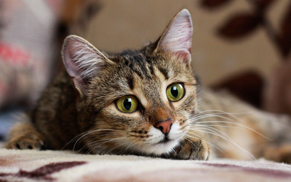 Photograph by Вася Кадочников