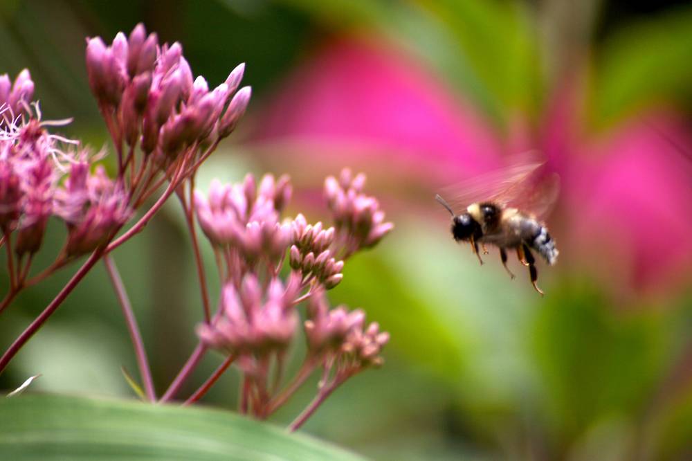 Photograph by Ирина Вассерлауф