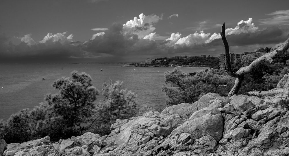 Photograph by Vitalii Kaznin