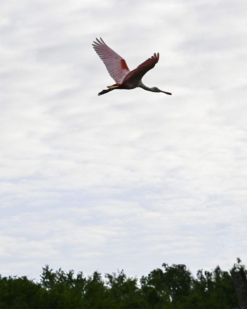 Фотография автора Raymond Asiala