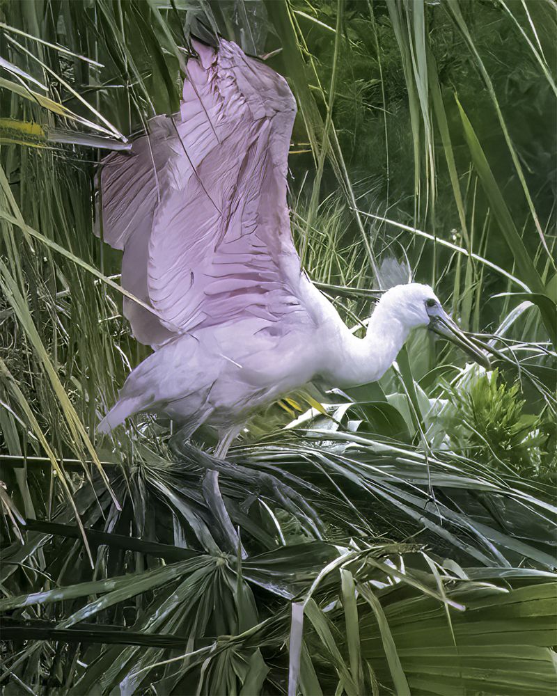 Фотография автора Raymond Asiala