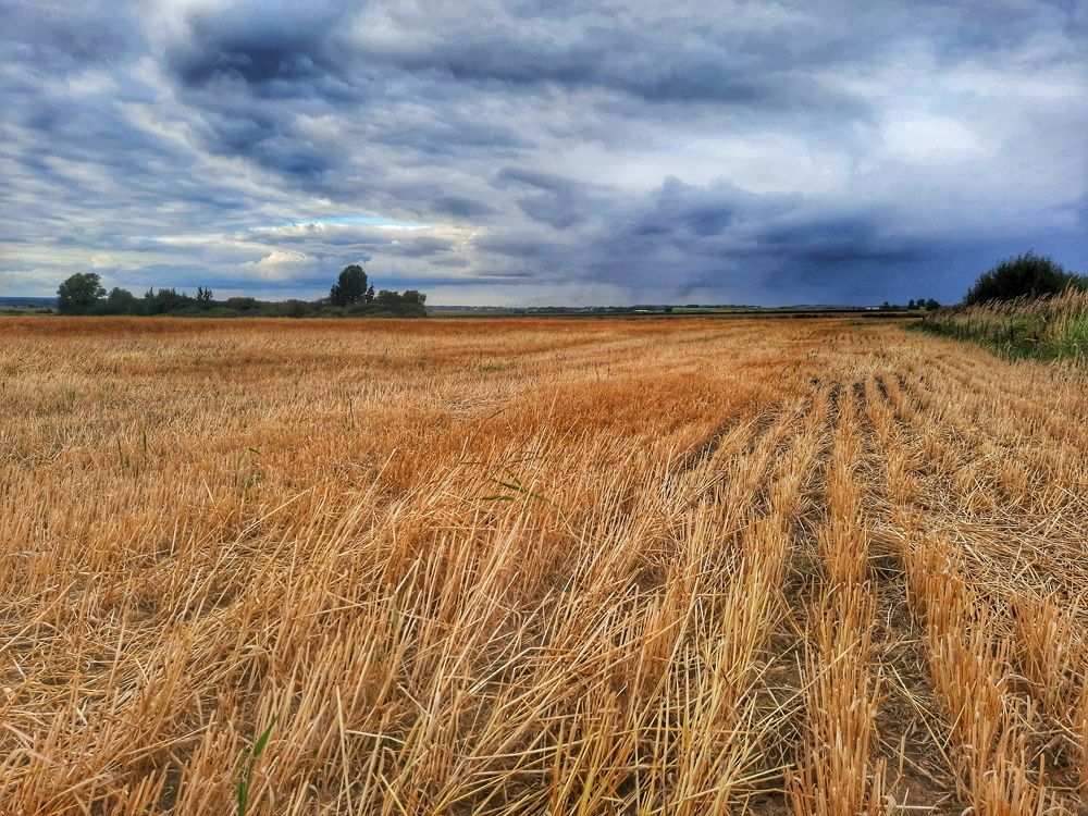 Photograph by Мария Андреева