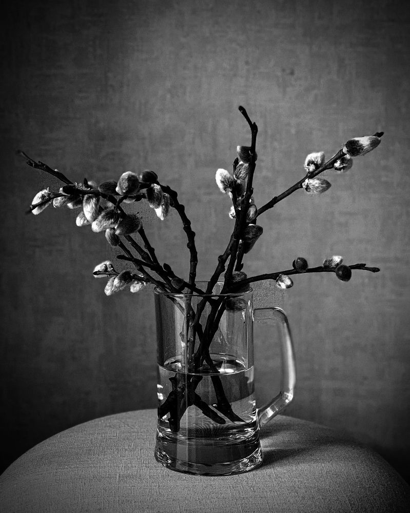 Photograph by Надежда Смирнова