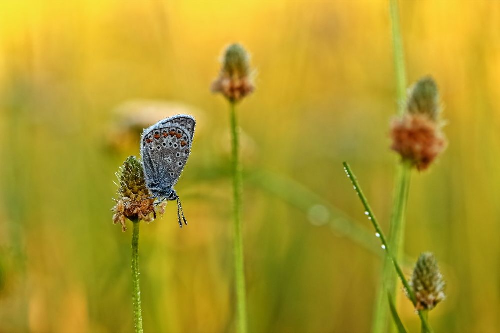 Photograph by Олег Резенов