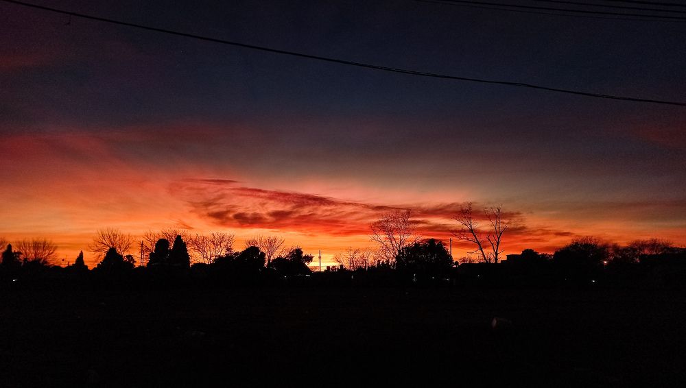 Photo #9039884