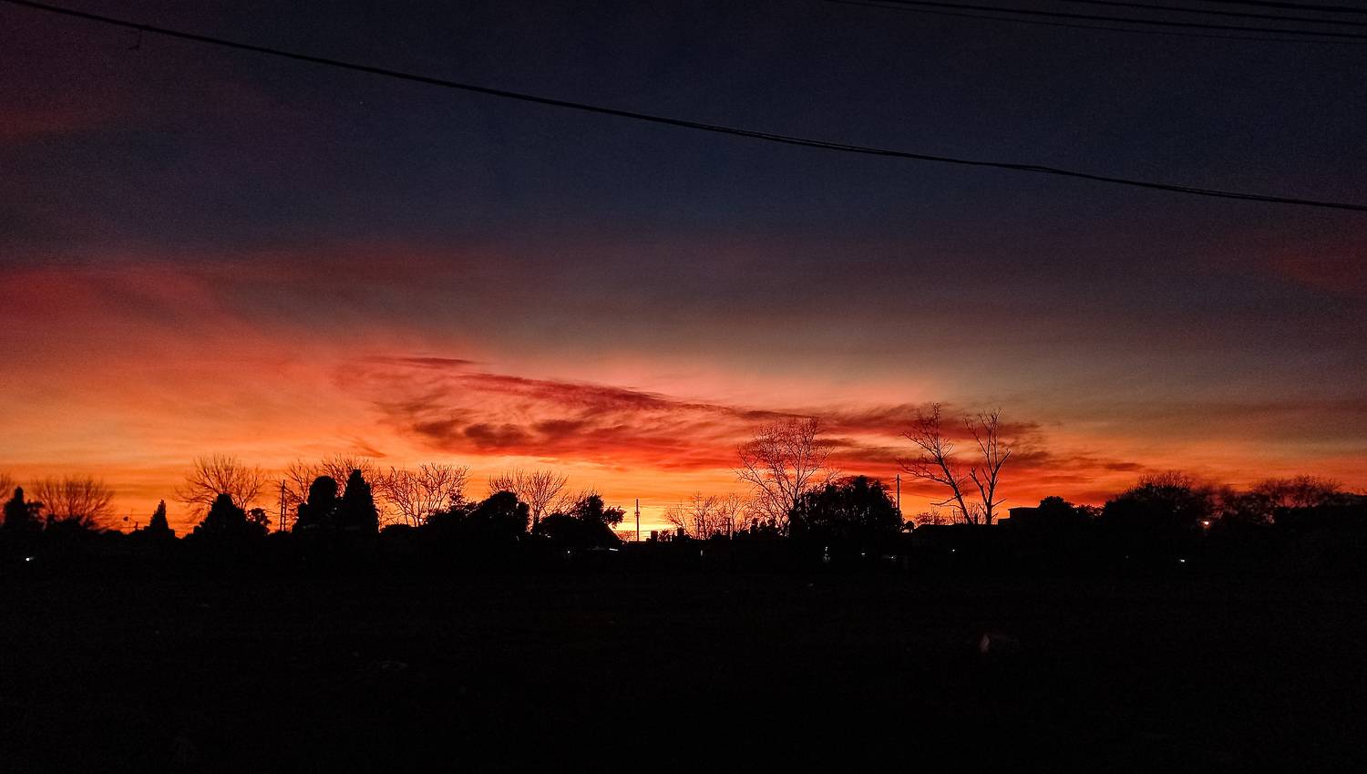 Photo #9039884
