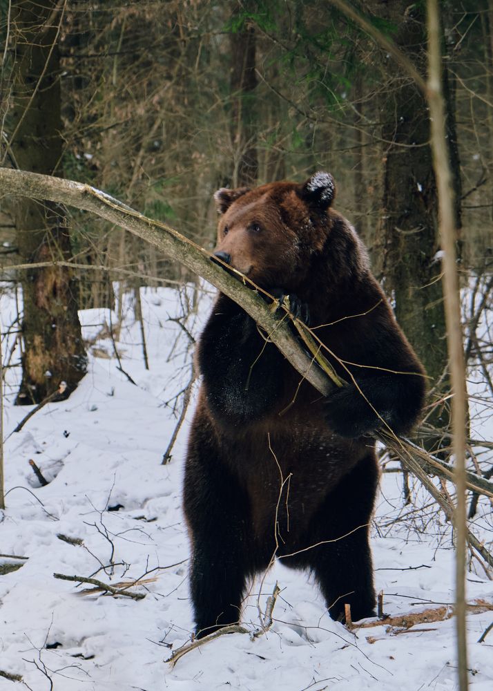 Photograph by Виктория Колышева