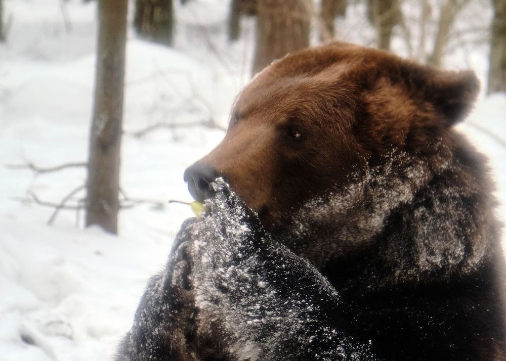 Photograph by Виктория Колышева
