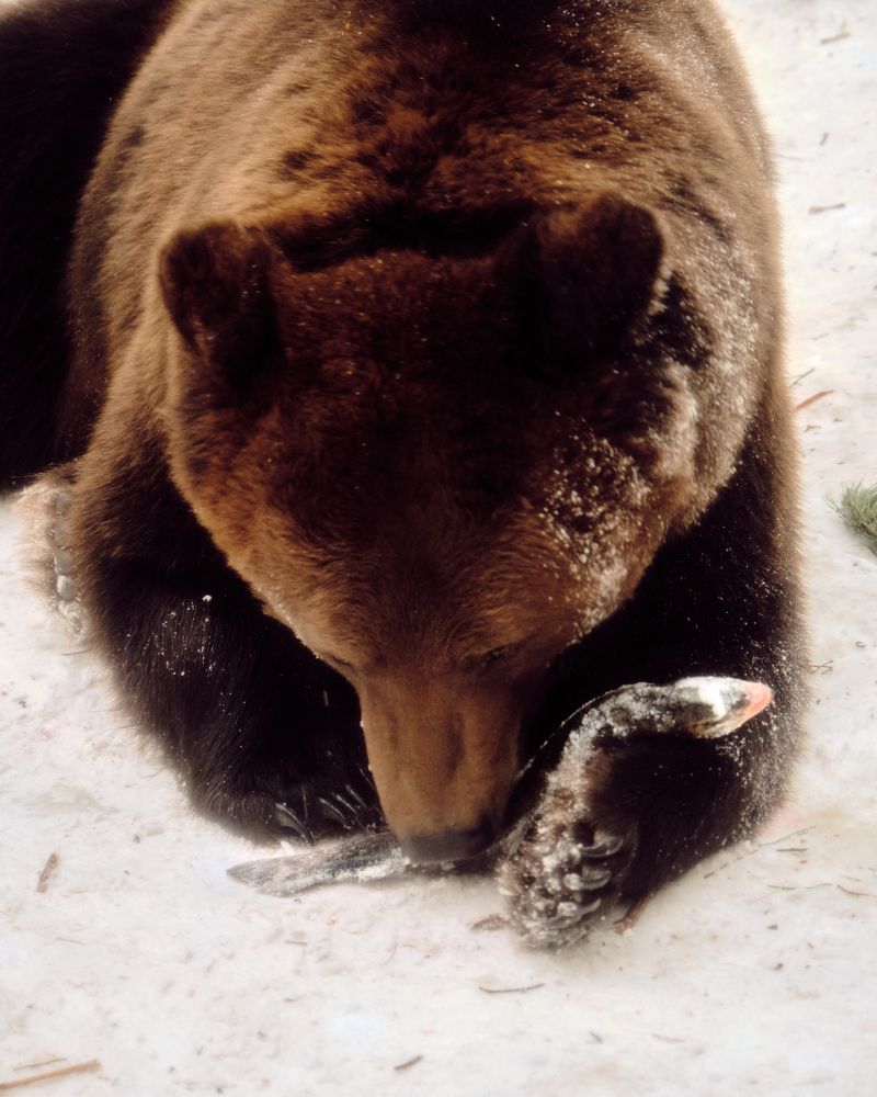 Photograph by Виктория Колышева