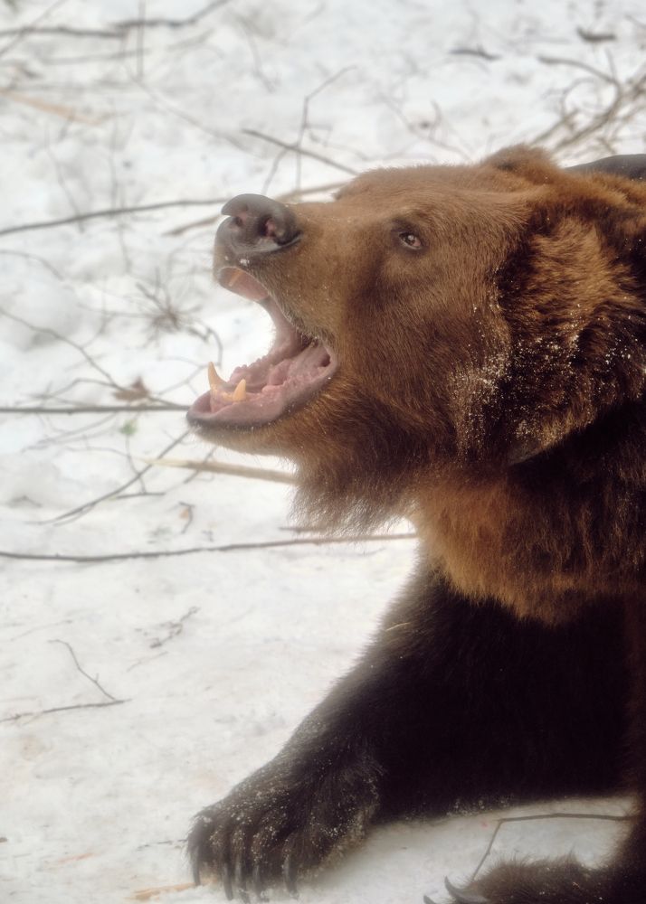 Photograph by Виктория Колышева