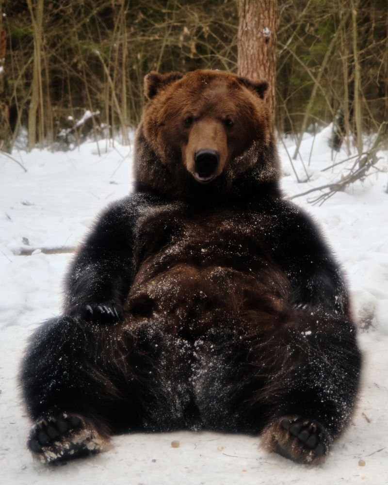 Photograph by Виктория Колышева