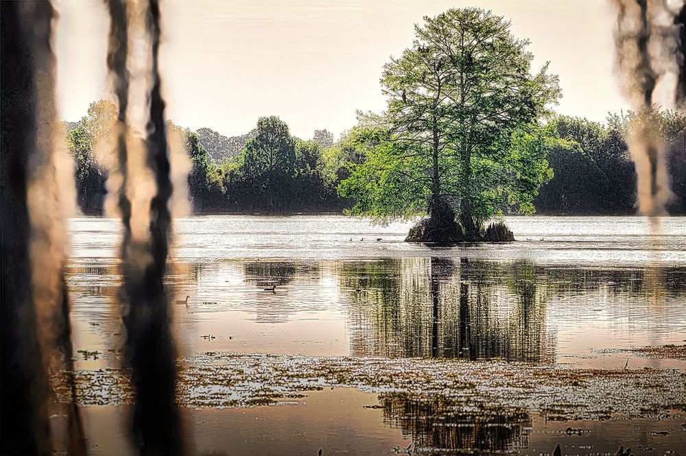 Фотография автора Raymond Asiala