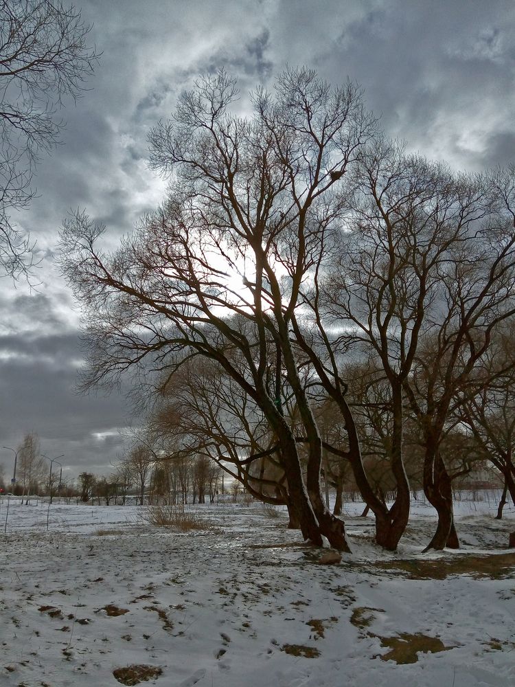 Фотография автора Антип